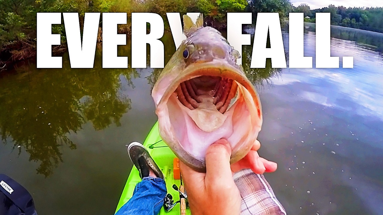 Fall Bass Fishing In Iowa!! (Shad Migration BEGINS!!!)