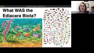 Environmental change and biotic turnover in the Ediacaran: Evidence for the first... -Scott D. Evans