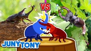 Jaws vs. Horns - The Match of Strength | Insects for Kids | Kids Songs & Stories | JunyTony