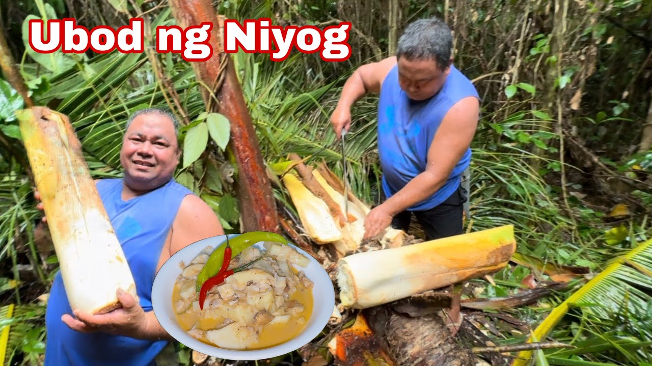 Ginataang ubod ng niyog + Nagtimpla ng buko juice