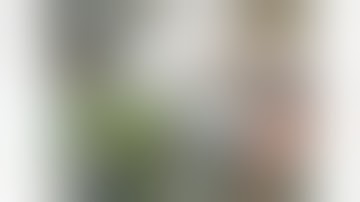 //declaration application কোনে কোনে দিব লাগিব 🤔🤔// Guwahati University//