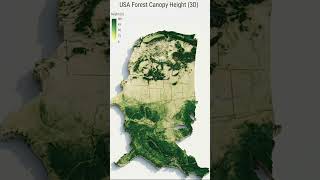 🇺🇸From Coastal Giants to Central Plains: A 3D Spatial Analysis of US Forest Canopy Height #GIS #R