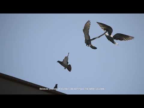 I left everything there (2021, 17’30'')