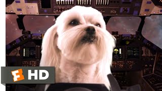 Star Paws (2016) - Cat & Dog Fight Scene (3/10) | Movieclips