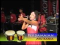 Perdamaian Ayu Kania OM Romansa Solo