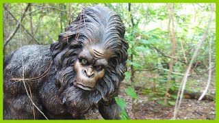 In Search Of The Swamp Monster ... With Leonard Nimoy 1977.