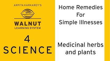 4 Science - Home remedies for simple illnesses - Medicinal herbs and plants