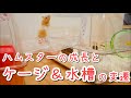 【ハムスターケージ紹介】1歳までにどう変わった？ケージと水槽の変遷【ルーミィと飼育グッズまとめ】