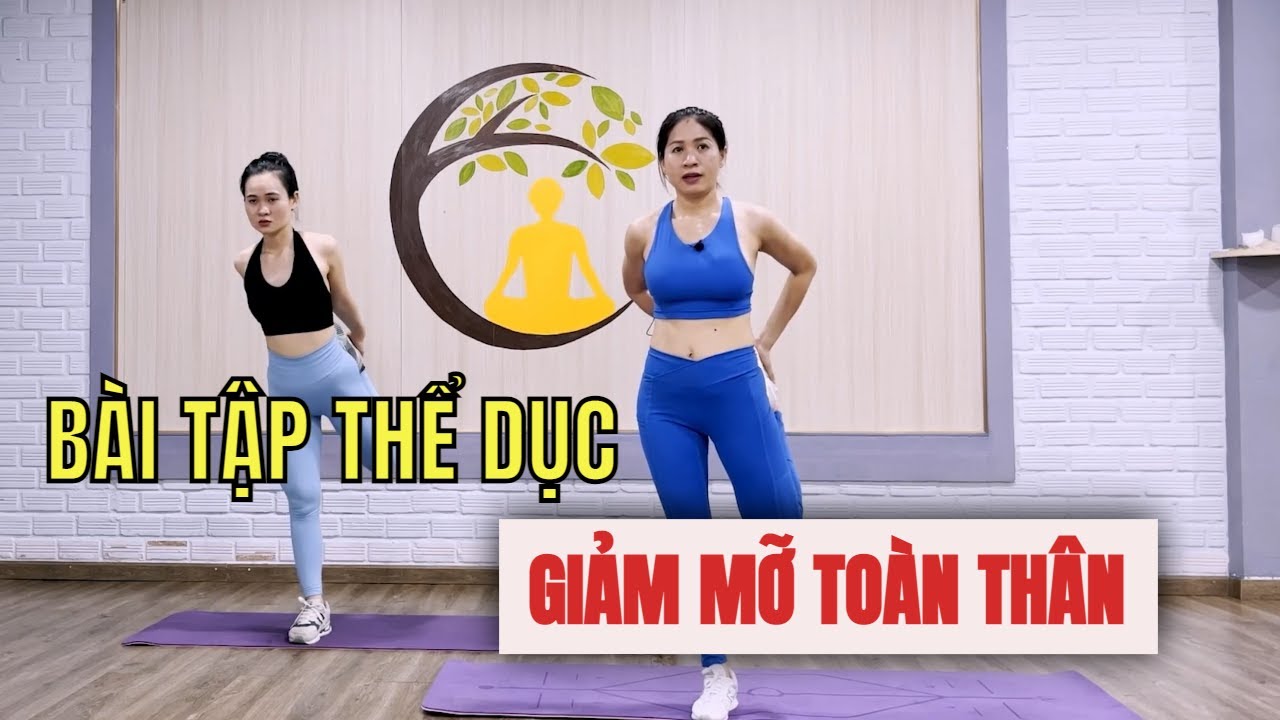 Bài Tập Thể Dục Giảm Mỡ Toàn Thân 20 Phút Cardio Diệt Mỡ Tại Nhà Bài 4 ...