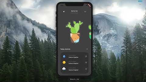 flutter cactus app