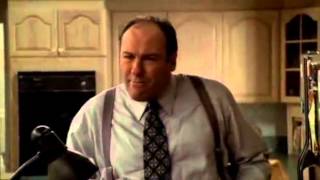 The Sopranos - Tony and Meadow talk about blacks