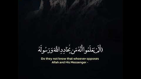 عشاء السبت ٣ /١١ / ١٤٤٠ هـ ماتيسر من سورة التوبة ¦ الشيخ صالح الطوالة