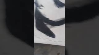 No Se Como Presentarlo Xd