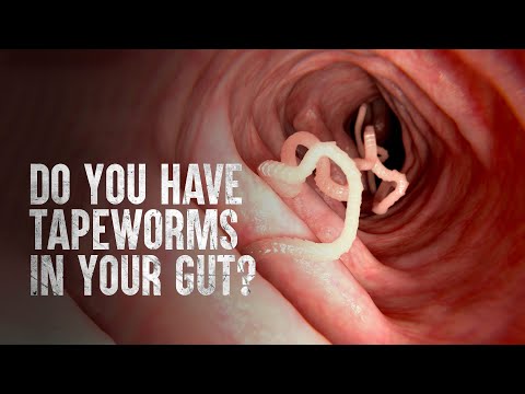 Video: Bij welke temperatuur sterft lintworm?