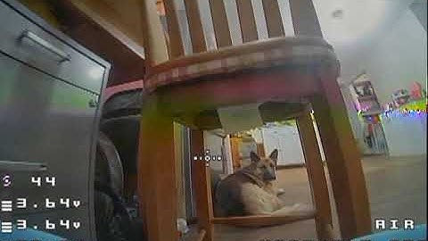 Meteor65 Pro 1s 2022.