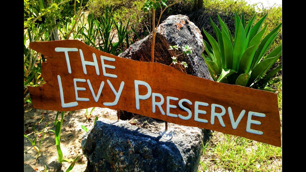 The Leon Levy Native Plant Preserve | Sailboat Story 57