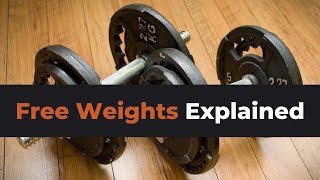 5 Different Types of Free Weights You Need to Know