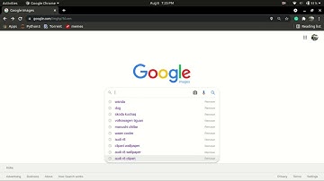 Web Scrapping bulk google images using Python ( Selenium )