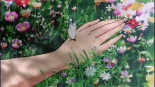 sarah - alex g (sped up extra echo)