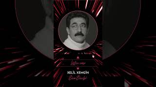 Xelîl Xemgîn - Zêno Zênebê Music Video