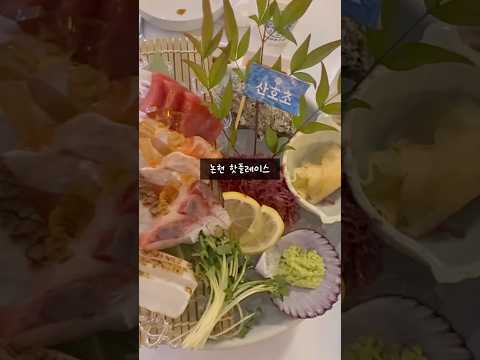 여기가 바다속이야 횟집이야 술집이야🪸? #맛집추천 #술안주 #논현동
