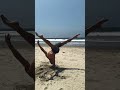 Strength Never Stops #yoga #flexibility
