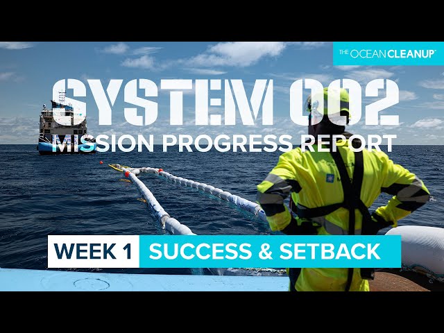 System 002 and Marine Life: Prevention and Mitigation