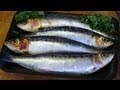 How To Fillet And Clean ,Sardines.And Cook Them.CORNISH SARDINES/PILCHARDS.