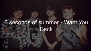 5 seconds of summer - Want You Back