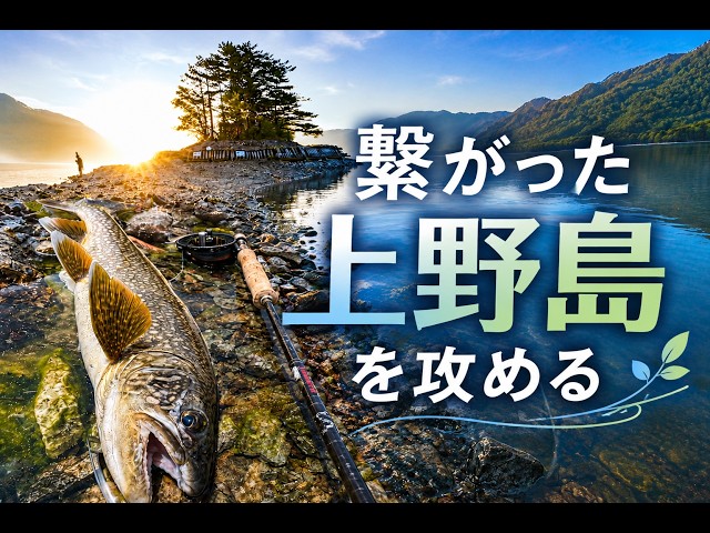 上野島が繋がっちゃった！ フライフィッシングで大減水中の中禅寺湖