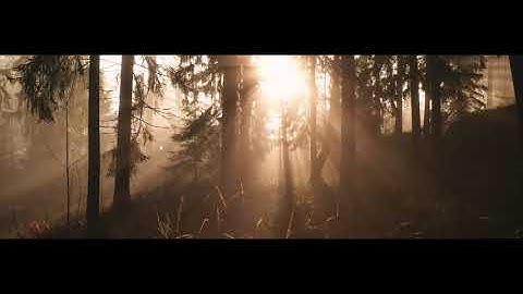 4k Light rays through fog with Mavic Pro 2