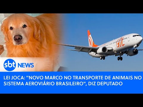 Video lei-joca-novo-marco-no-transporte-de-animais-no-sistema-aeroviario-brasileiro-diz-deputado