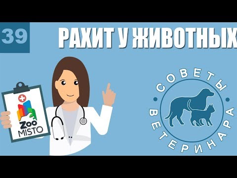 Рахит у животных | Причины рахита | Симптомы и лечение болезни | Советы Ветеринара