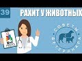 Рахит у животных | Причины рахита | Симптомы и лечение болезни | Советы Ветеринара