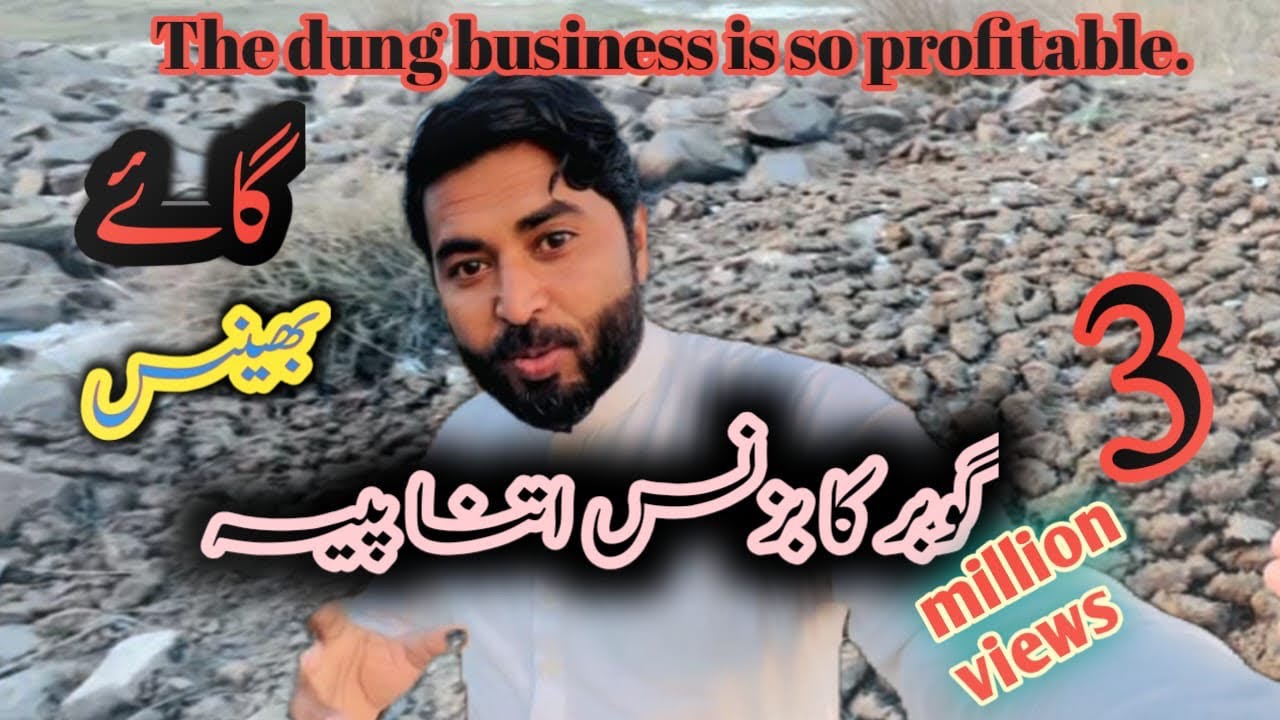 The dung business is so profitable.Maqsood veer 