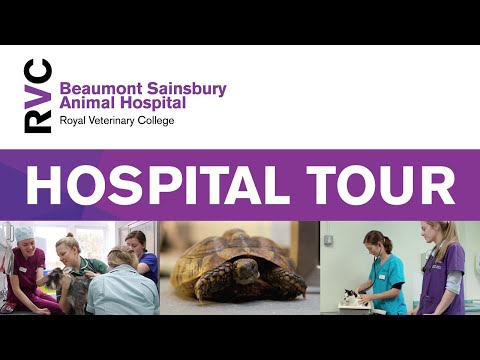 RVC Beaumont Sainsbury Animal Hospital Tour, London