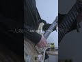 【弾いてみた】我儘/シンガーズハイ -Guitar Cover- #シンガーズハイ #邦ロック#shorts