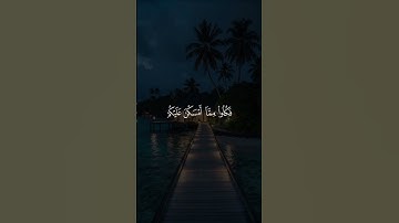سورة المائدة #ياسر_الدوسري #القرآن_الكريم #اجر_لي_ولك #foryou #اكسبلور #لايك #quran #راحة_نفسية