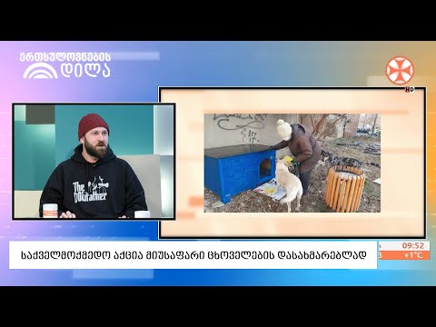 საქველმოქმედო პროექტი მიუსაფარი ცხოველების დასახმარებლად