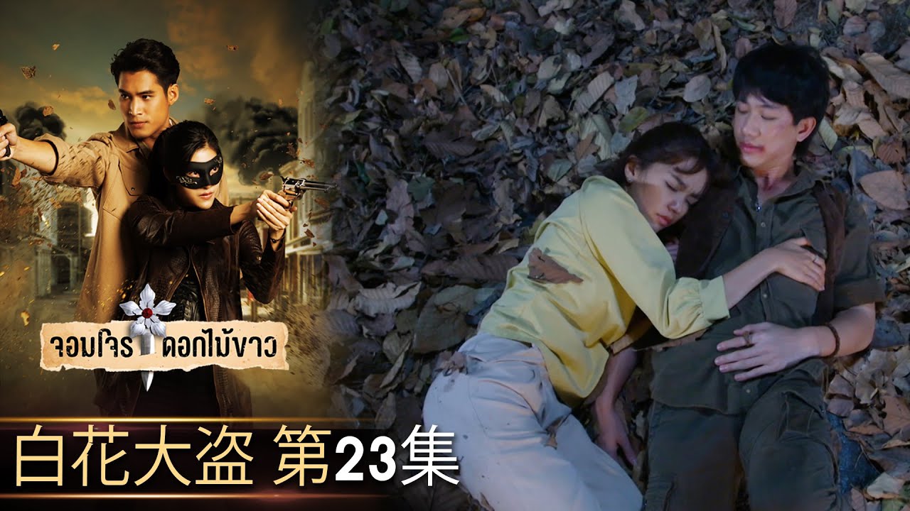 白花大盗 第23集（完整版）