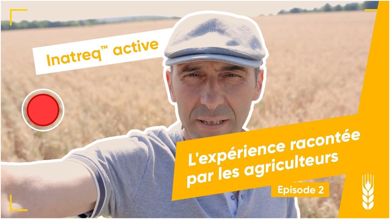Protection du blé : l’expérience d’un agriculteur avec Inatreq™ active | Témoignage #2