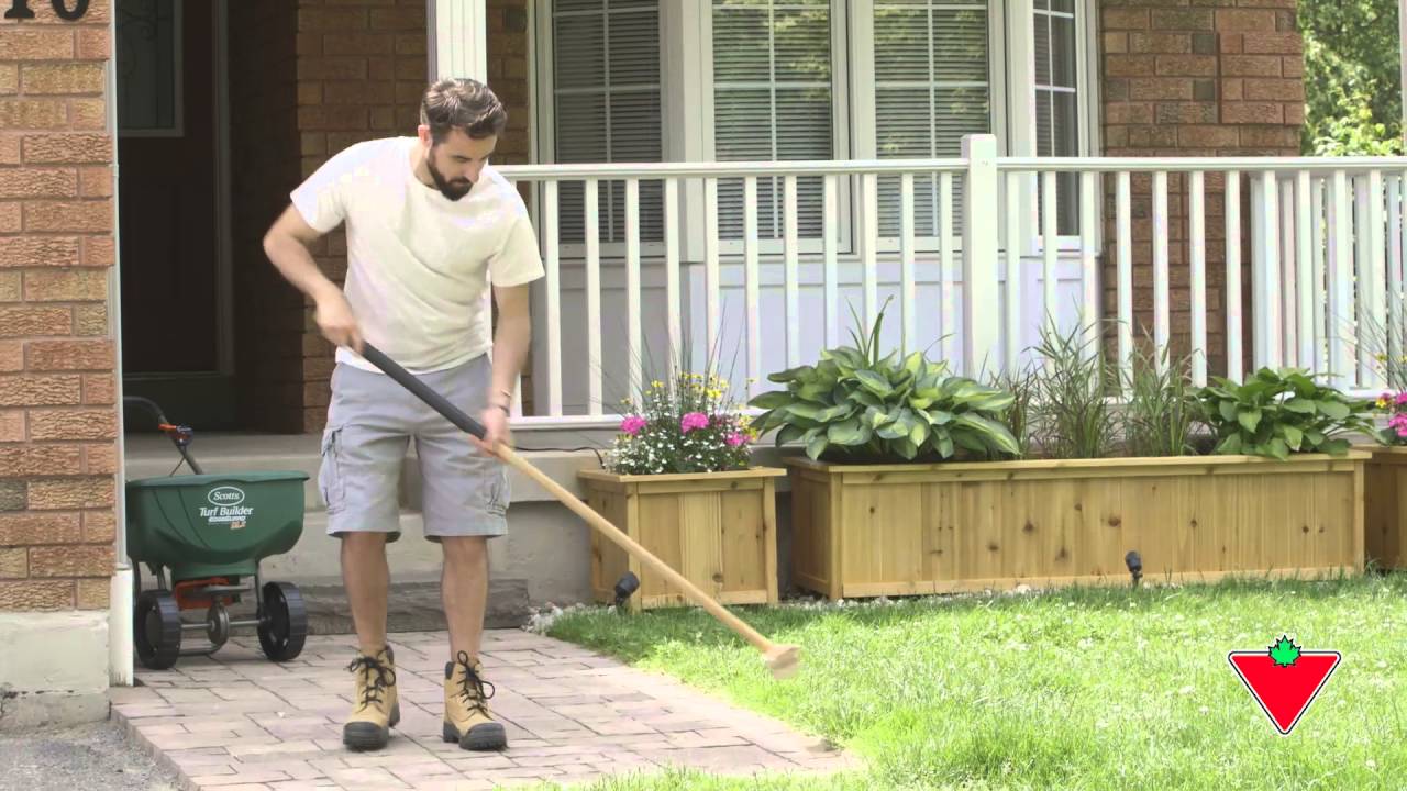 Comment fertiliser sa pelouse (4 étapes)