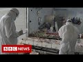 New video by BBC News on YouTube