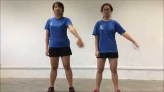 Artemis Faculty Dance 2015 Tutorial 4 - Next Episode (Mirrored)