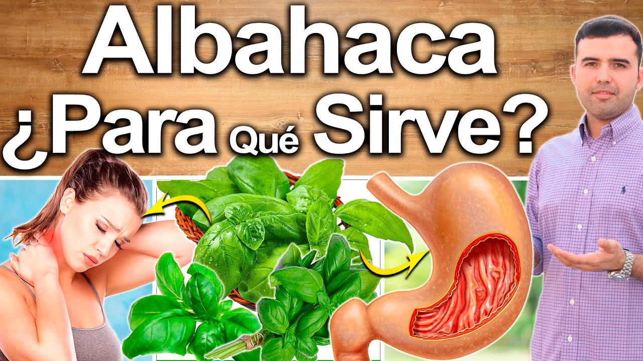 Albahaca Para Todo! - Para Qu� Sirve? - Beneficios Para Tu Salud Y Belleza