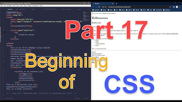 The Beginning of CSS | Part 17 | Full Stack Course in Telugu