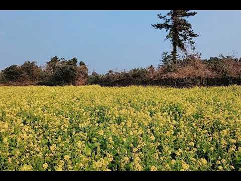 [TJ노래방라운지] 산책 - 박기영