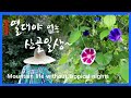 [Sub]  열대야 없는 산골일상 / 수박따기 / 고추된장무침 만들기 / Summer daily life in the mountains~!!