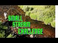 SMALL STREAM CHALLENGE (fly fishing)