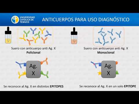 IG: Métodos inmunológicos de laboratorio